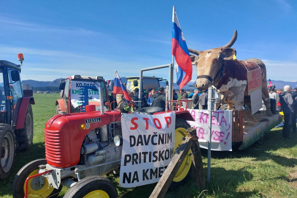 “Bolje krava na paši kot golob na vladi.”